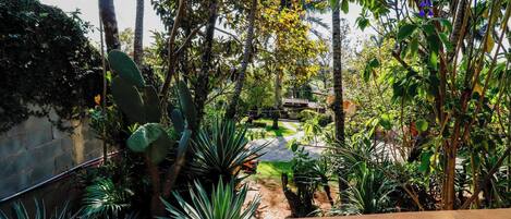 A garden with various plants and a pathway leading to a structure.