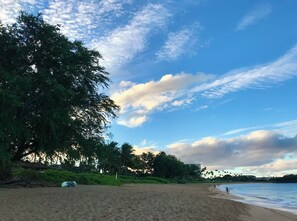 A beach with a clear sky, trees, and a person walking. - ALOHA!! GRAND OCEAN VIEW  1-bedroom Villa with AC in Kaanapal, Steps to Beach! (Lahaina)