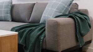 A living room with a grey sofa, a green throw blanket, and a patterned rug.