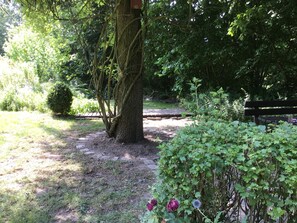 A tree with a wooden bench and a paved path. - Vacation Rental in an Old Thatched-Roof Forest Ranger's House (Schönwalde am Bungsberg)