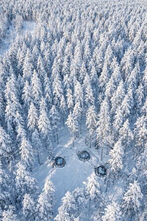 Een bos met met sneeuw bedekte bomen en drie bolvormige constructies.