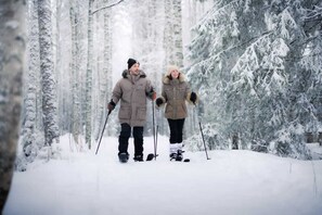 Sneeuw- en skisporten