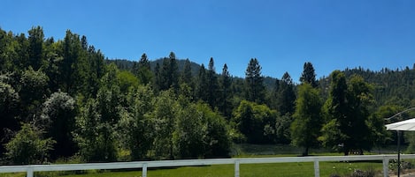 Una piscina con una vista despejada de un paisaje boscoso al fondo.