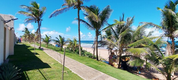 A pathway lined with palm trees leading to a beach. - COPFL0110 - Cond Recanto do Flamengo (Salvador)