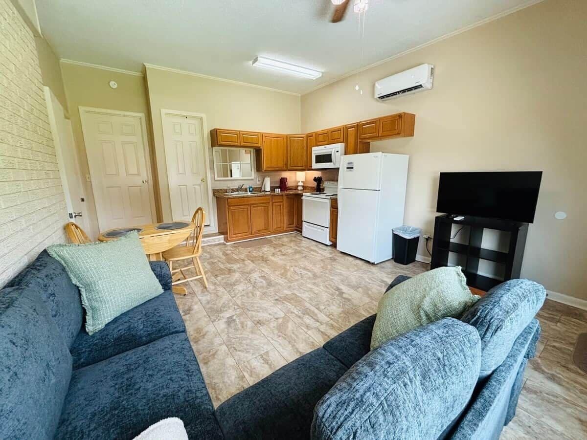 Un espacio habitable compacto con kitchenette, un sofá y un televisor.