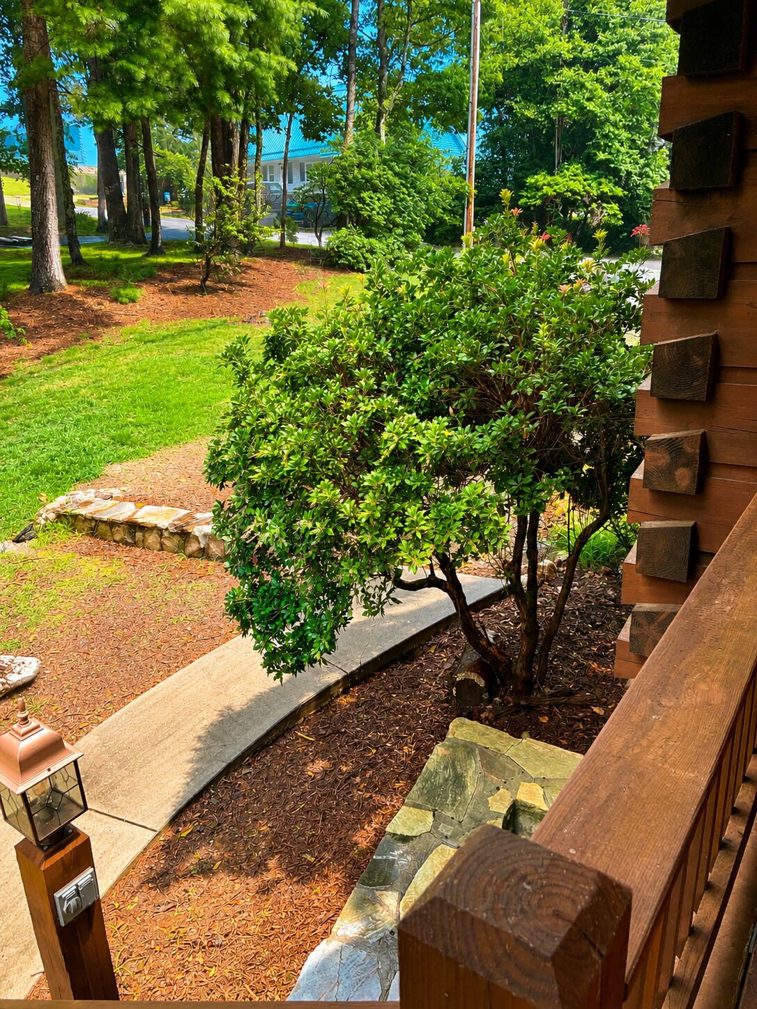 A landscaped garden with a tree, a stone pathway, and a building with a blue roof.