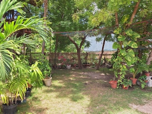 A garden with potted plants, a hammock, and a wooden fence. - Basilia Guest House (Santa Fe)
