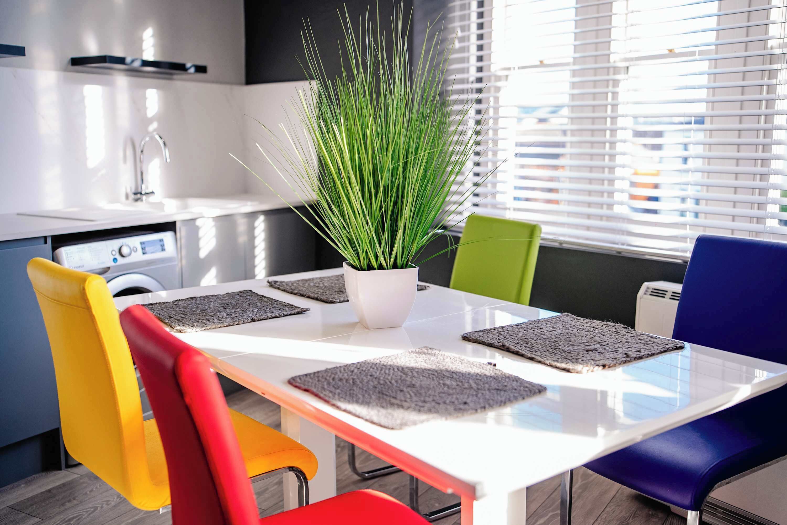 A modern kitchen with a white countertop, a sink, and a potted plant.