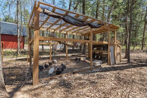 Un abri pour animaux en bois, doté d’un toit et entouré d’arbres.