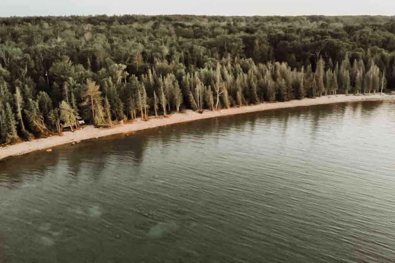 A forested shoreline with a calm body of water.