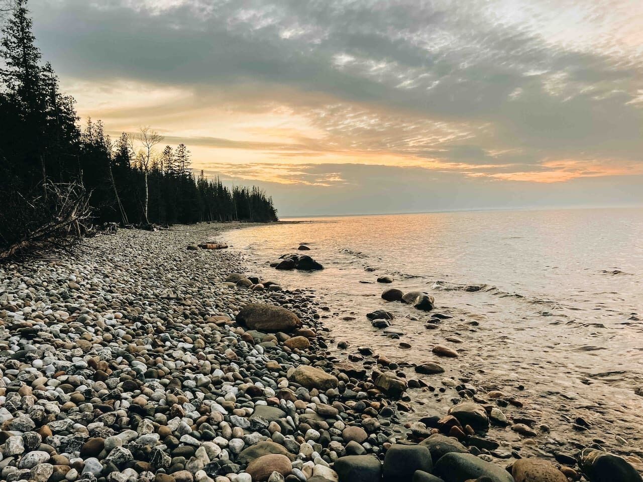 A pebbled beach with a forested area and a calm body of water.