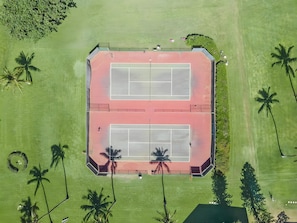Eine Vogelperspektive eines Tennisplatzes, umgeben von Palmen.