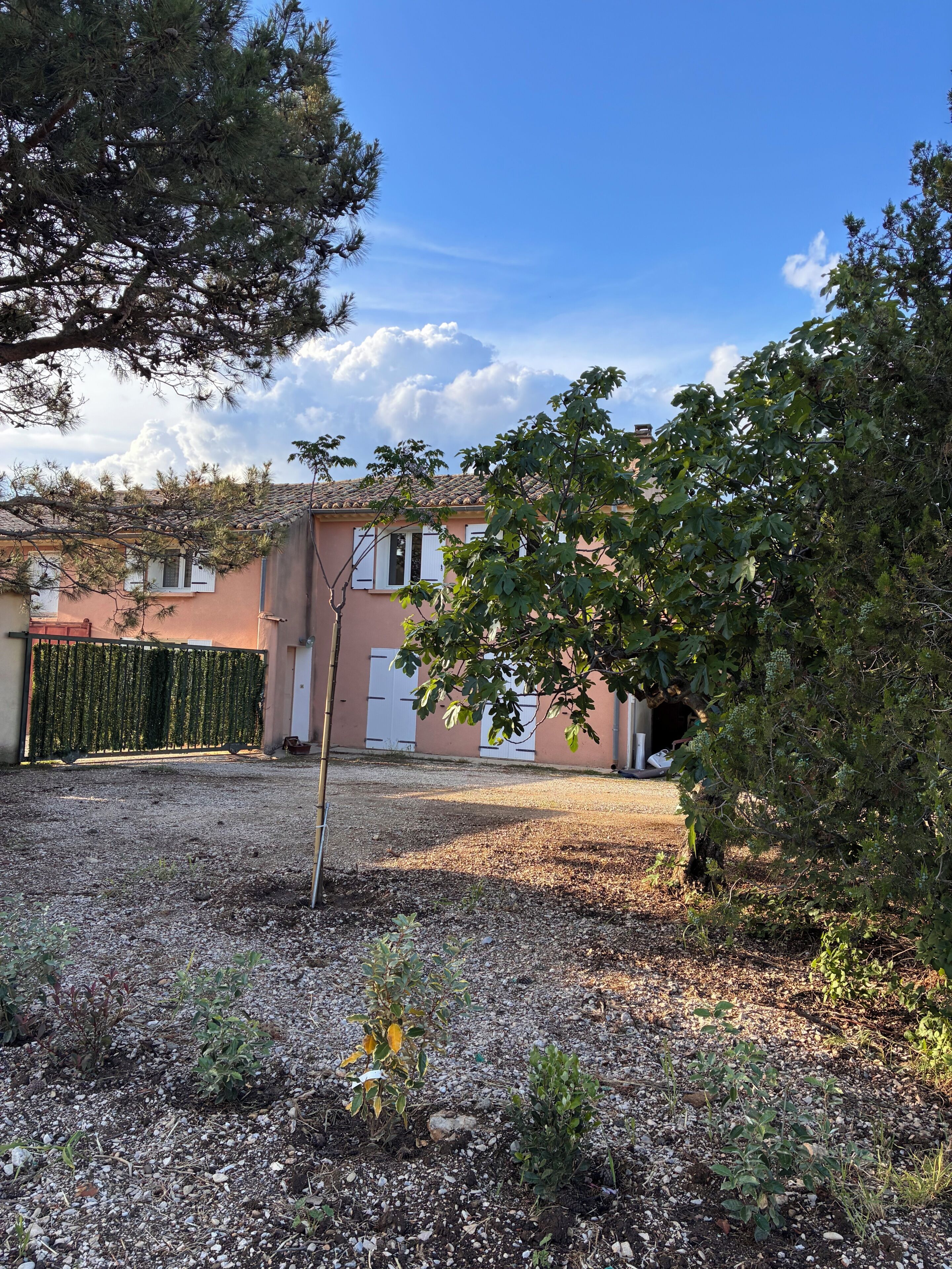 Zona residencial con una casa, camino de grava y un árbol.