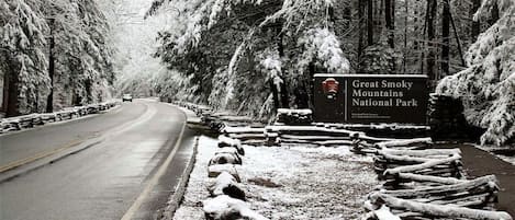 Carretera que conduce al Parque Nacional de las Montañas Humeantes, con un cartel y árboles cubiertos de nieve.
