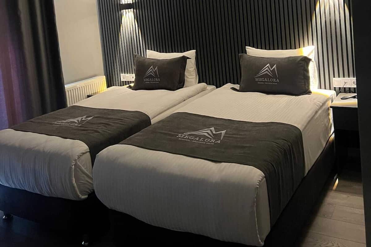 Standard Twin Room, Valley View