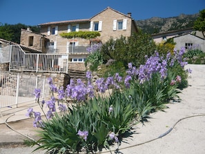 Ein Steingebäude mit Balkon, umgeben von violetten Blumen und Grünpflanzen.