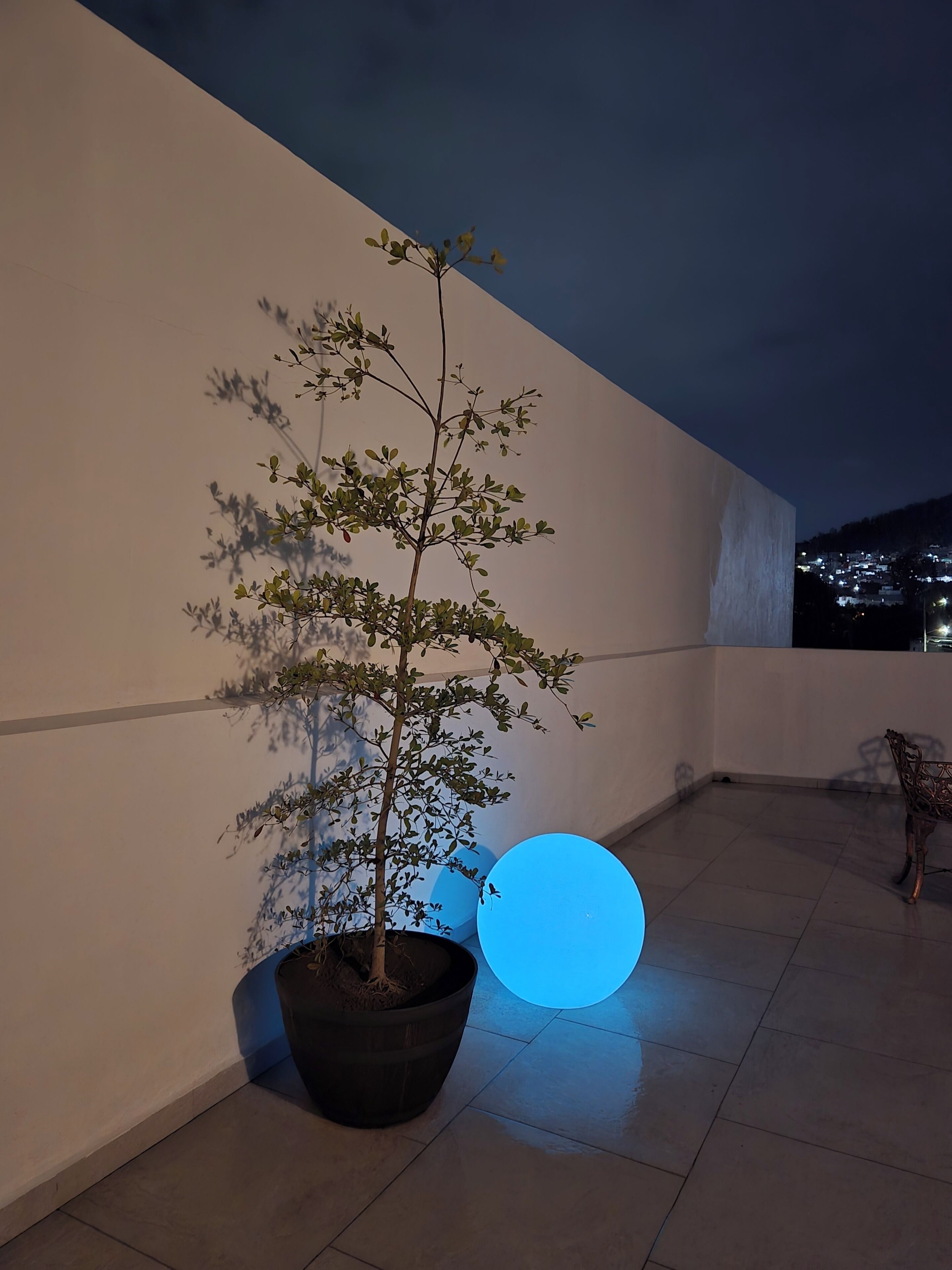 Une plante en pot sur un balcon, éclairée d’une lumière bleue.