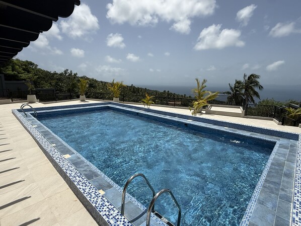 Ein rechteckiger Swimmingpool mit Fliesenbord, einer Metallleiter und Blick auf den Ozean sowie Palmen im Hintergrund.