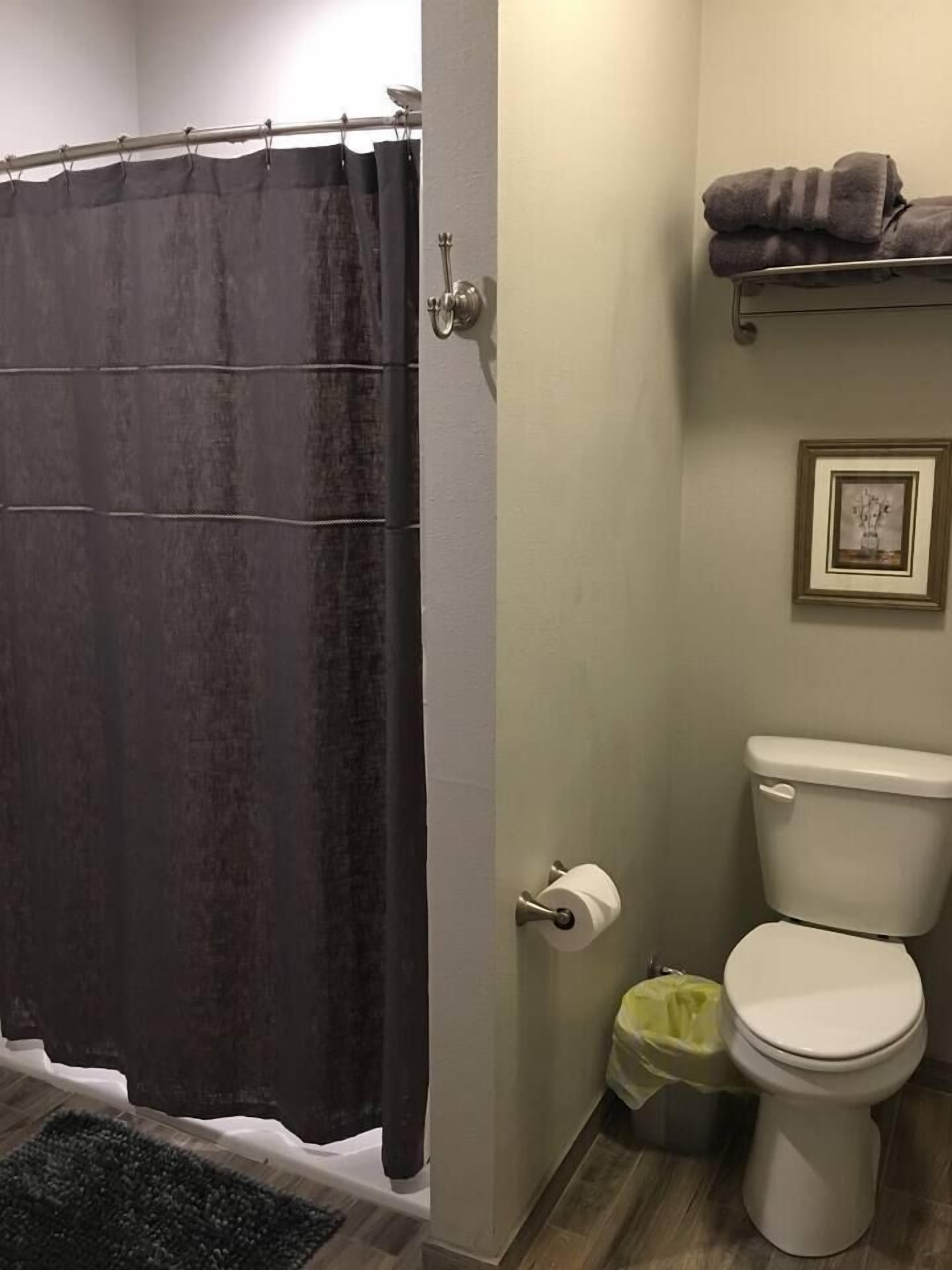 Une salle de bain avec un rideau de douche, des toilettes et une petite poubelle.