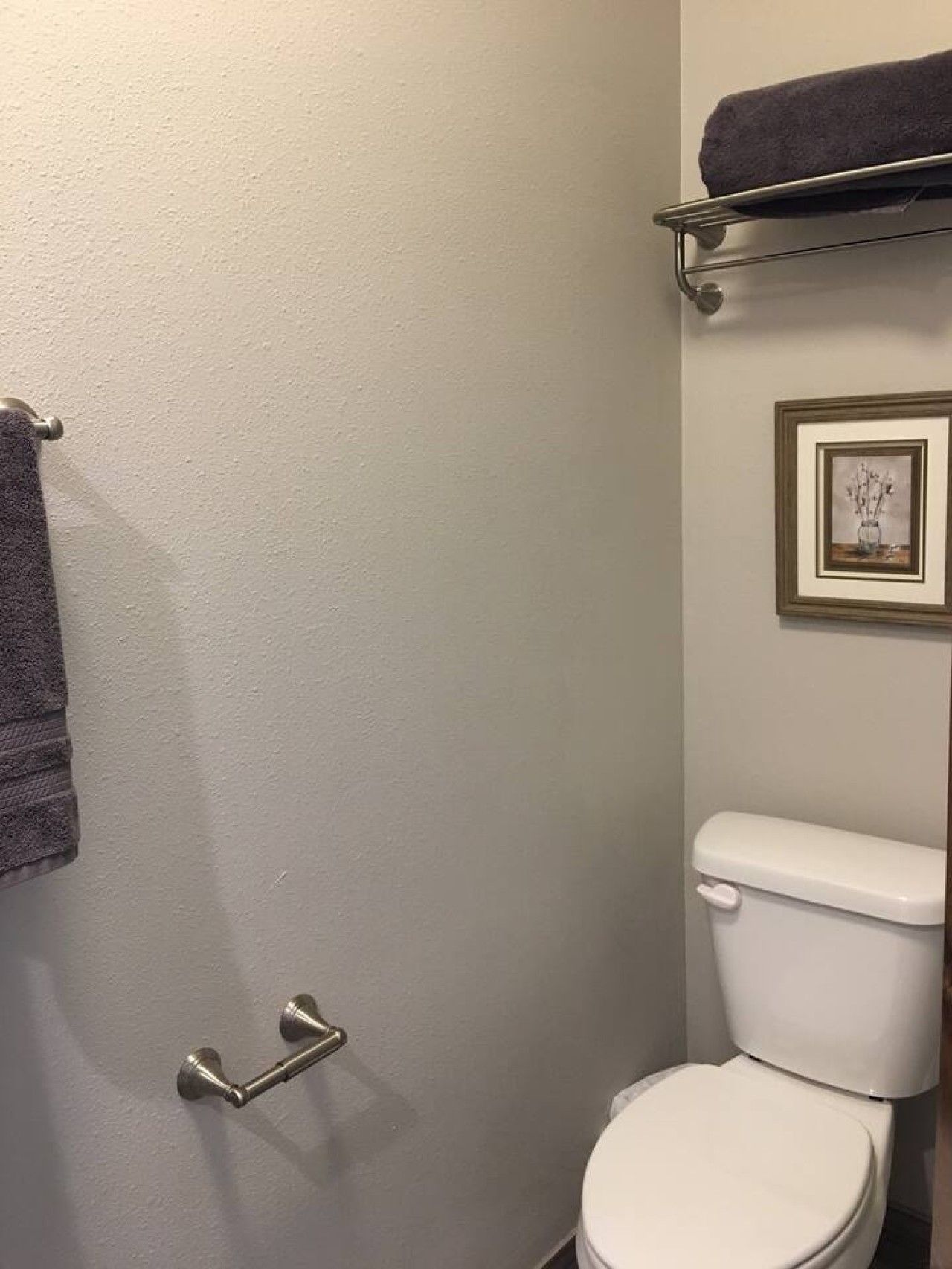 Un baño con inodoro, toallero y un cuadro en la pared.