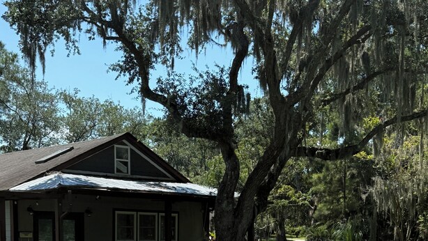 A house with a paved pathway leading to the entrance, surrounded by lush greenery and large trees. - Blissful Marsh Front GuestHouse Getaway! (Charleston)
