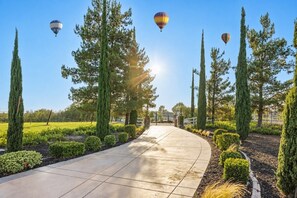 A pathway lined with neatly trimmed hedges and tall trees, leading towards a building. - Wine Country Estate w/ Pool, Spa, Theater & Golf (Temecula)