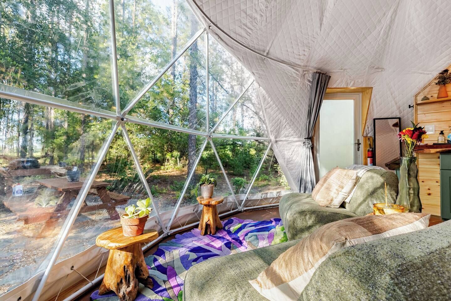 Ein gemütliches Interieur einer geodätischen Kuppelzelt mit einem Bett, einem kleinen Tisch mit einer Pflanze und Blick auf den Wald.