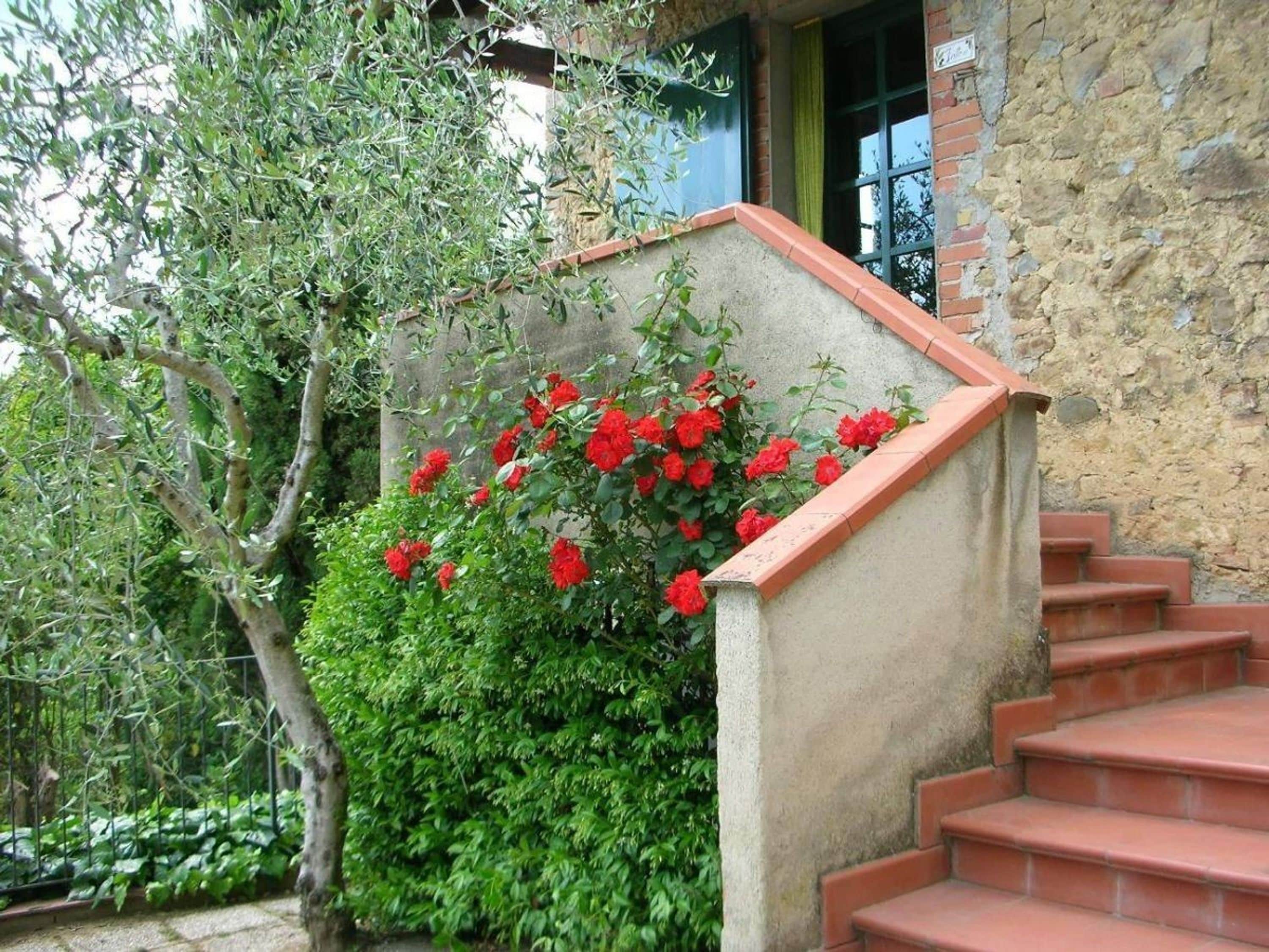 House | 1 bedroom