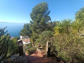 Ein Pfad führt zu einer Aussichtsplattform mit Blick auf das Meer und die umliegende Vegetation.