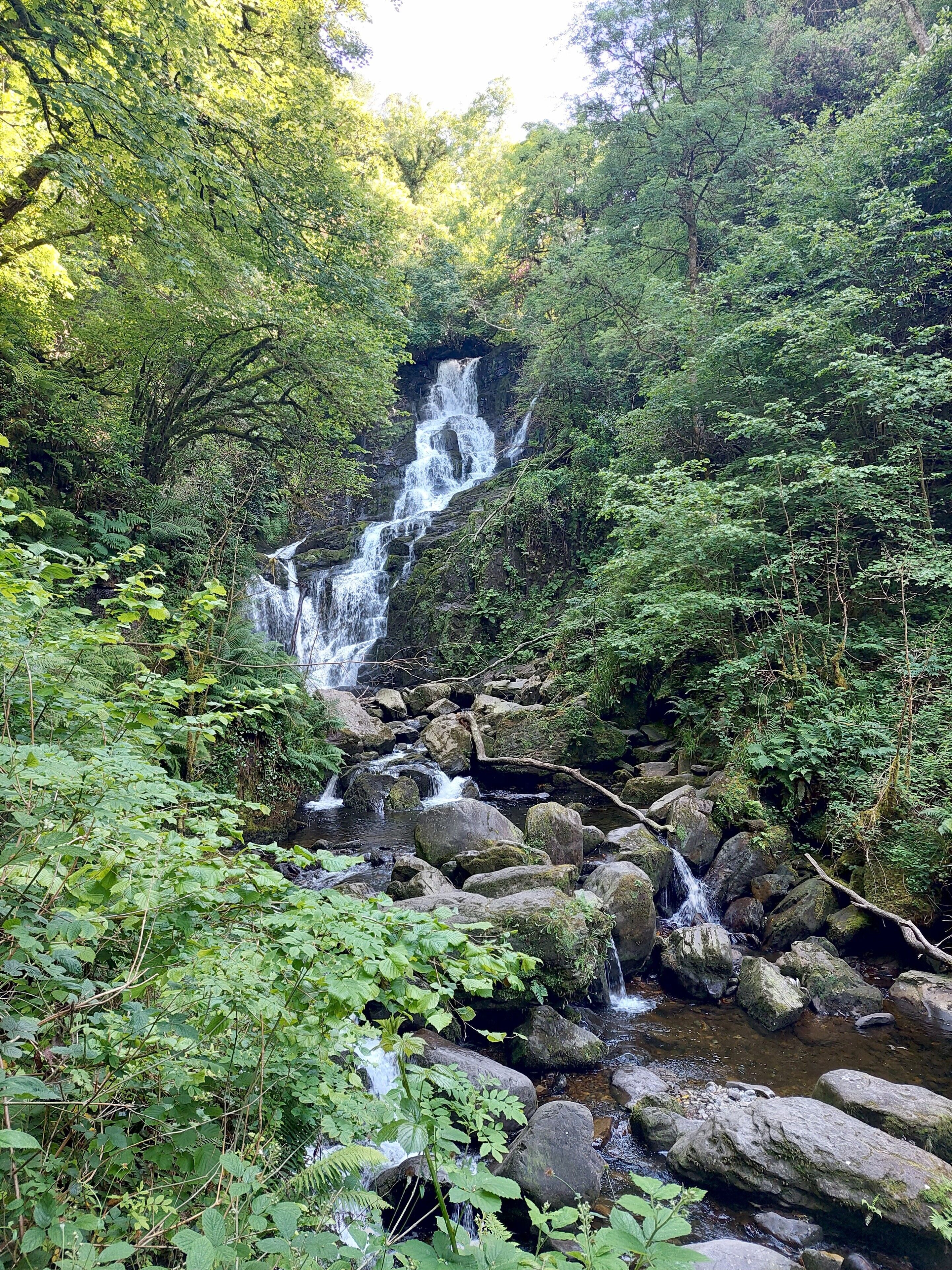Una cascada natural envoltada de vegetació verda abundant.