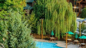 A pool area with wooden deck, outdoor seating, and a weeping willow tree. - 2BR Villa at Westgate Smoky Mountain Resort Near Gatlinburg & Dollywood (Gatlinburg)