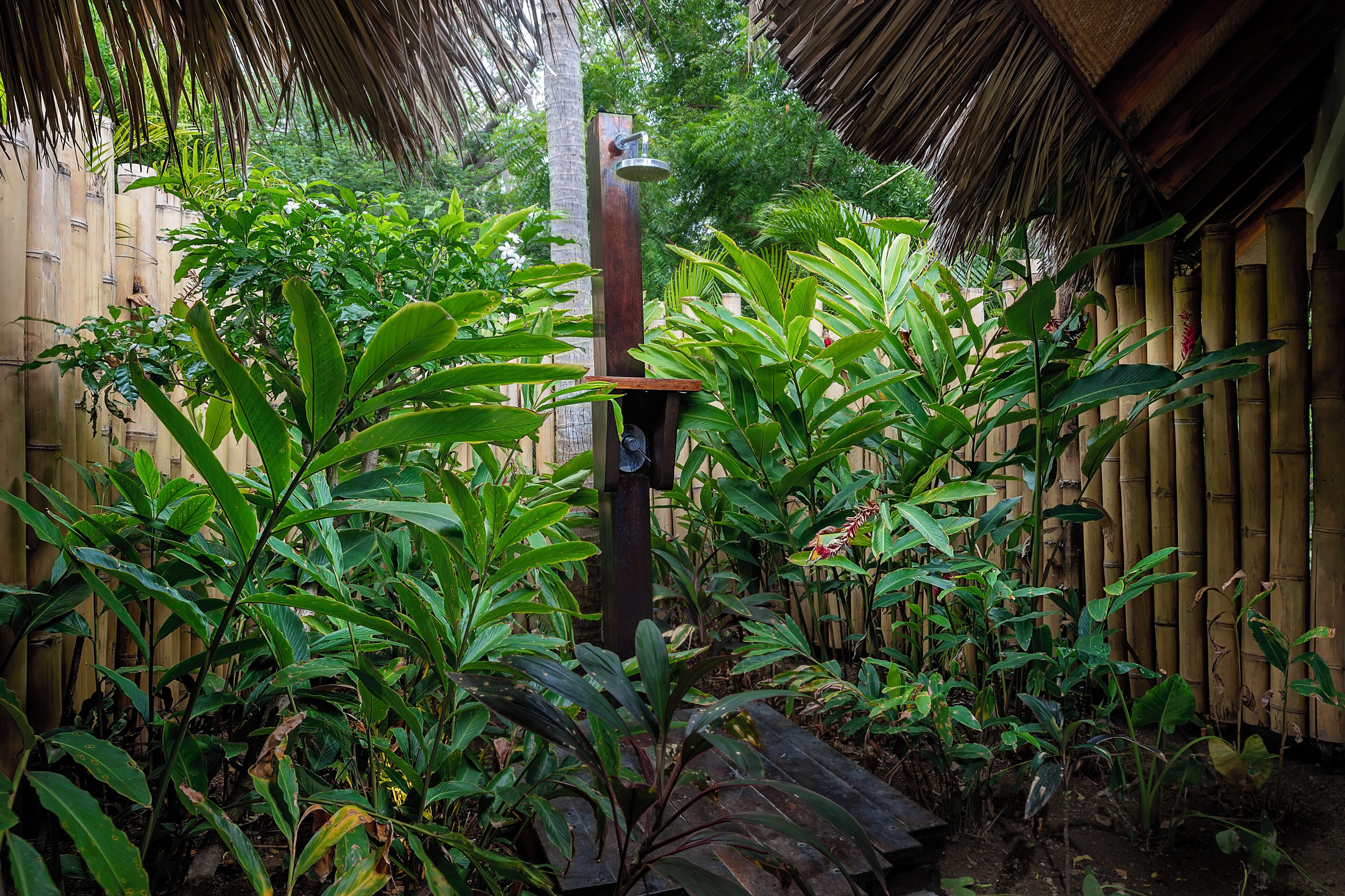 A bamboo fence, a metal shower structure, and lush green foliage.