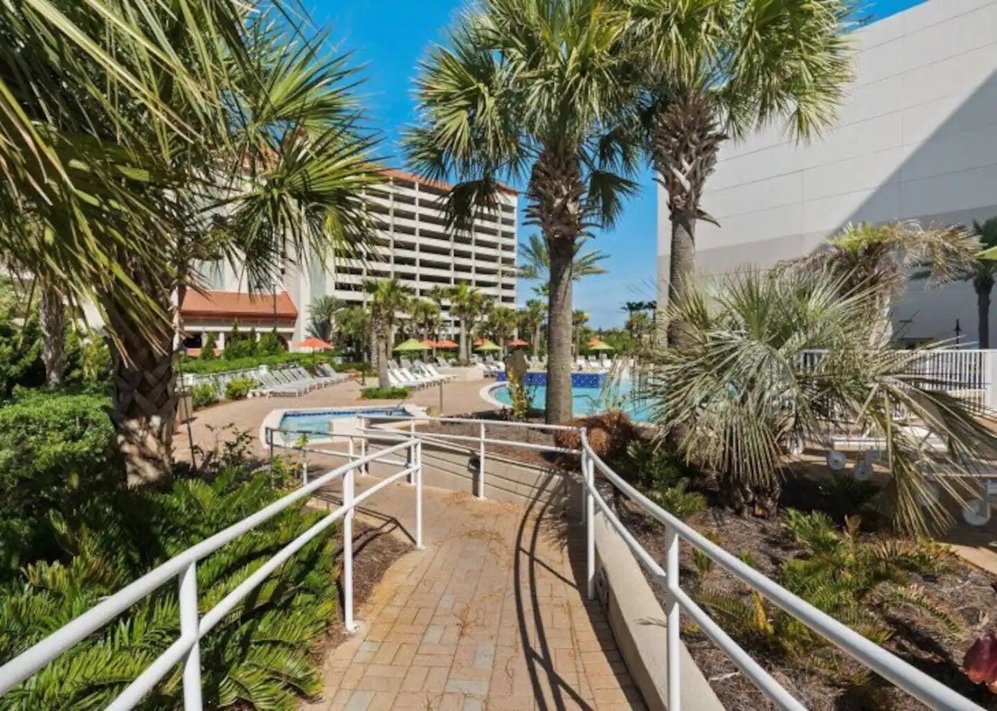 A hotel pool area with palm trees, a white building, and a clear blue sky.