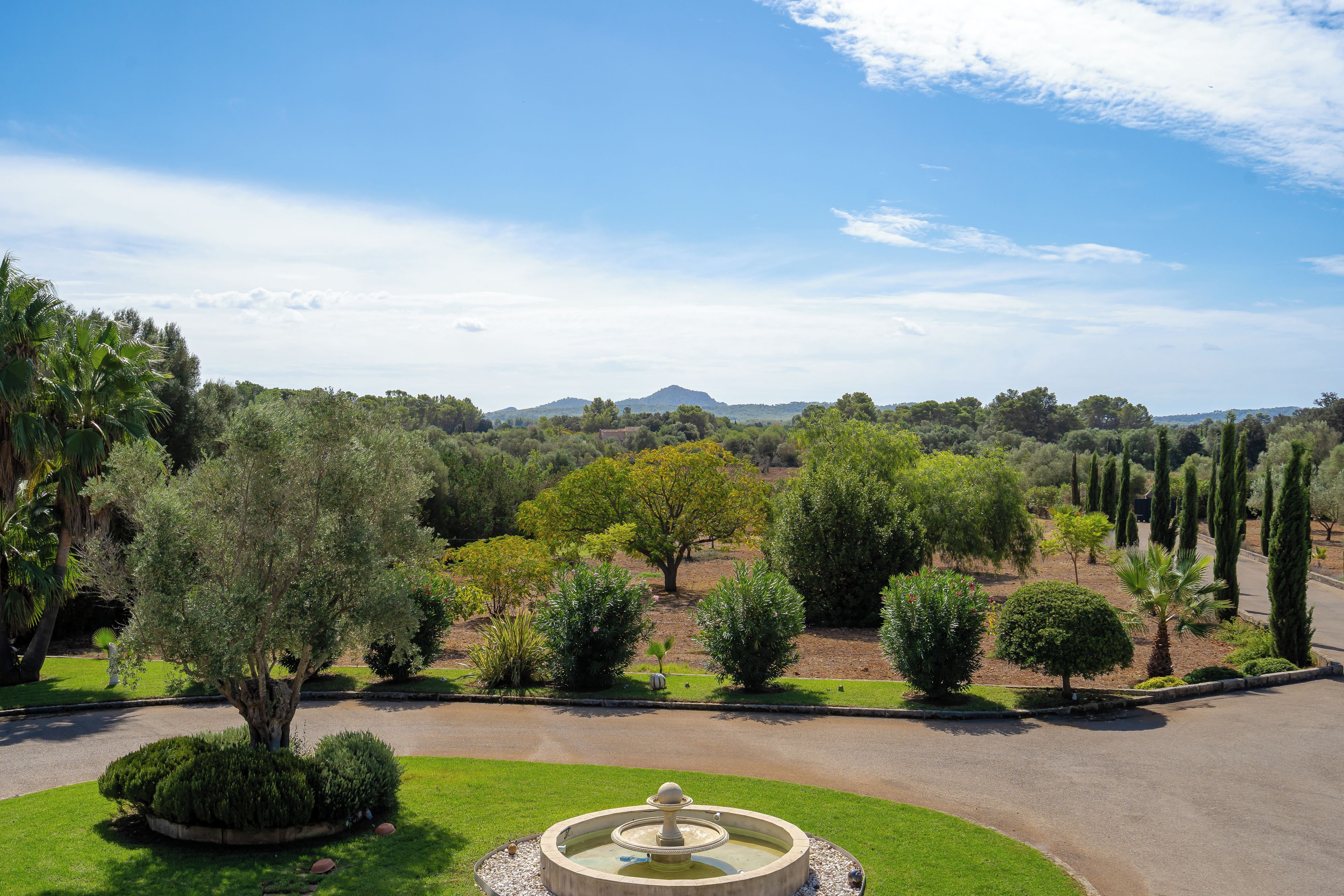 A landscaped garden with a fountain, trees, and a road.