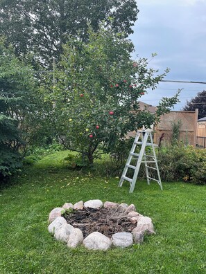 Un jardin avec un arbre fruitier, une bordure en pierre et une échelle.