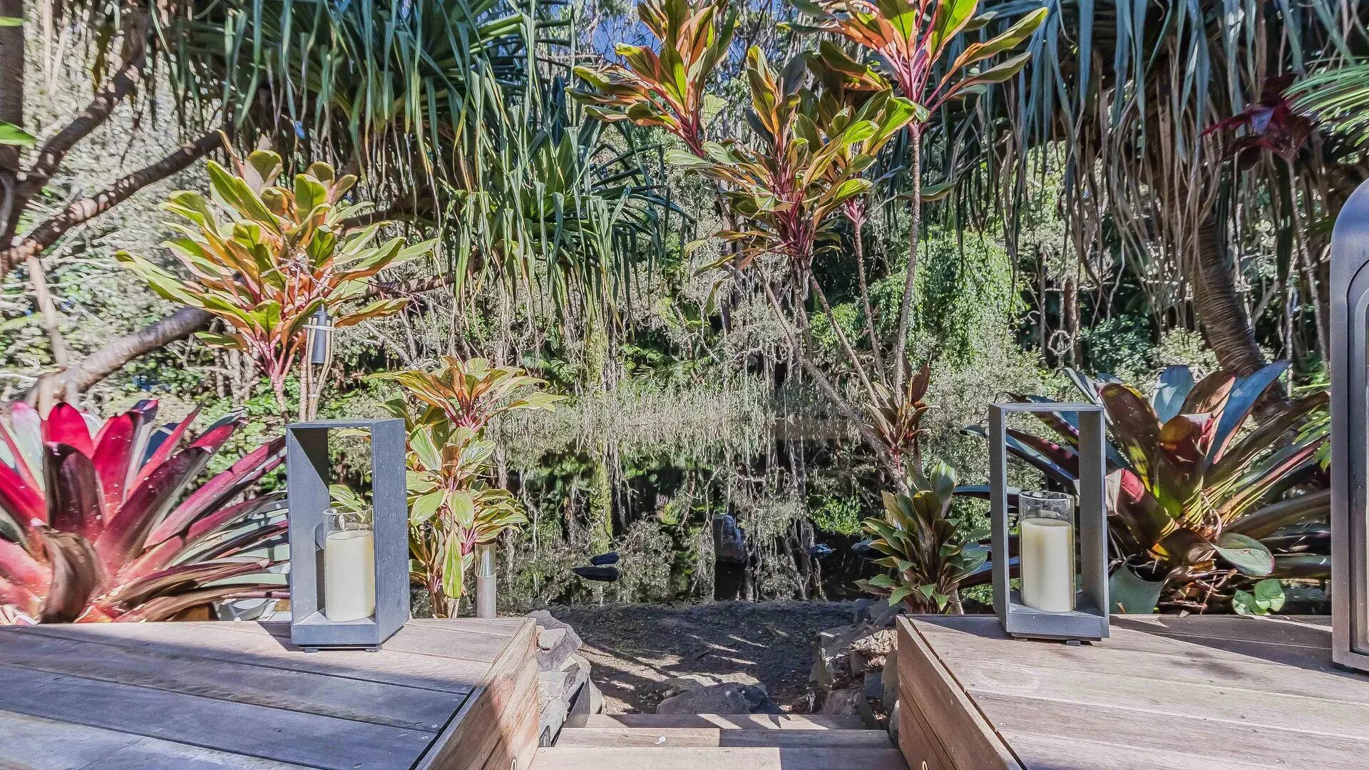 A wooden deck with steps leading to a garden area, surrounded by various plants and trees.