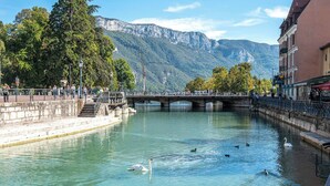 Ein Fluss mit Schwänen und Enten, eine Brücke und Berge im Hintergrund.