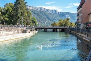 Ein Fluss mit Schwänen und Enten, eine Brücke und Berge im Hintergrund.