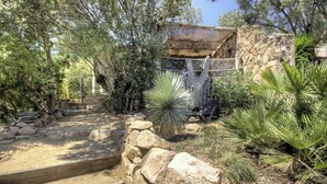 A naturalistic garden with a stone wall, a wooden bench, and various plants. - Alba - Porto Vecchio (PORTO VECCHIO)