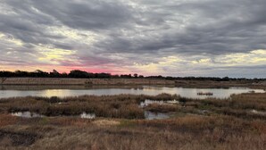 A natural landscape with a body of water, grassy areas, and a distant tree line under a cloudy sky.