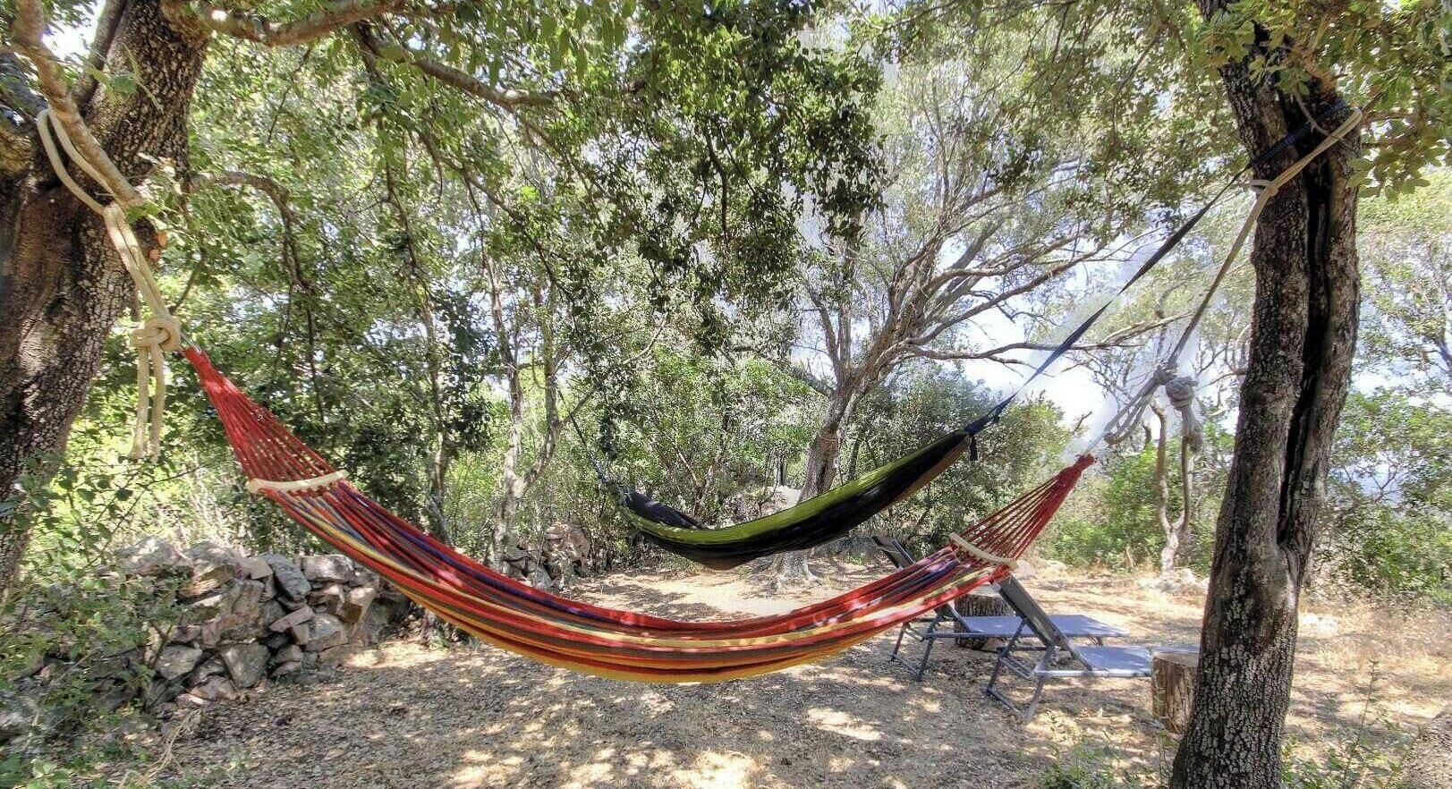 Un hamac est suspendu entre des arbres dans une zone boisée, à proximité d’un espace aménagé pour le camping.