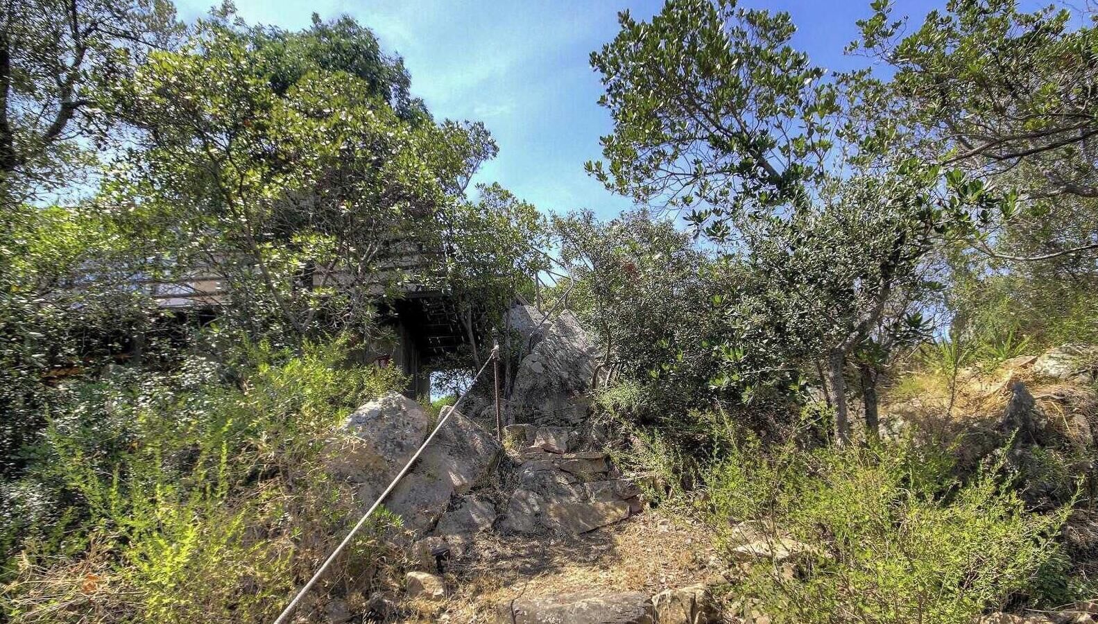 Un entorno natural al aire libre con un sendero rocoso, árboles y una estructura de madera.