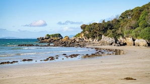Una spiaggia sabbiosa con affioramenti rocciosi e una fitta vegetazione.