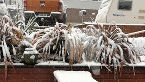 Ein verschneiter Außenbereich mit Bänken und einer Holzverkleidung.