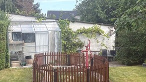 A fenced garden area with a greenhouse, a red chair, and a white building with ivy. - 4 Person Holiday Home in Orum Djurs (Ørum Djurs)