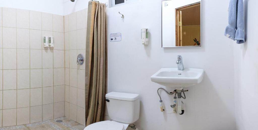 Une salle de bain équipée de toilettes, d’un lavabo, d’une douche et d’un miroir.