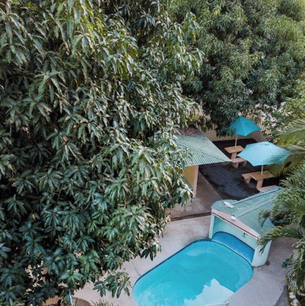 Ein Poolbereich mit kleinem Pool, umgeben von viel Grün und beschattet durch Sonnenschirme.