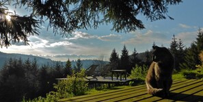 A bear sitting on a wooden deck with a view of a mountainous landscape and a clear sky.
