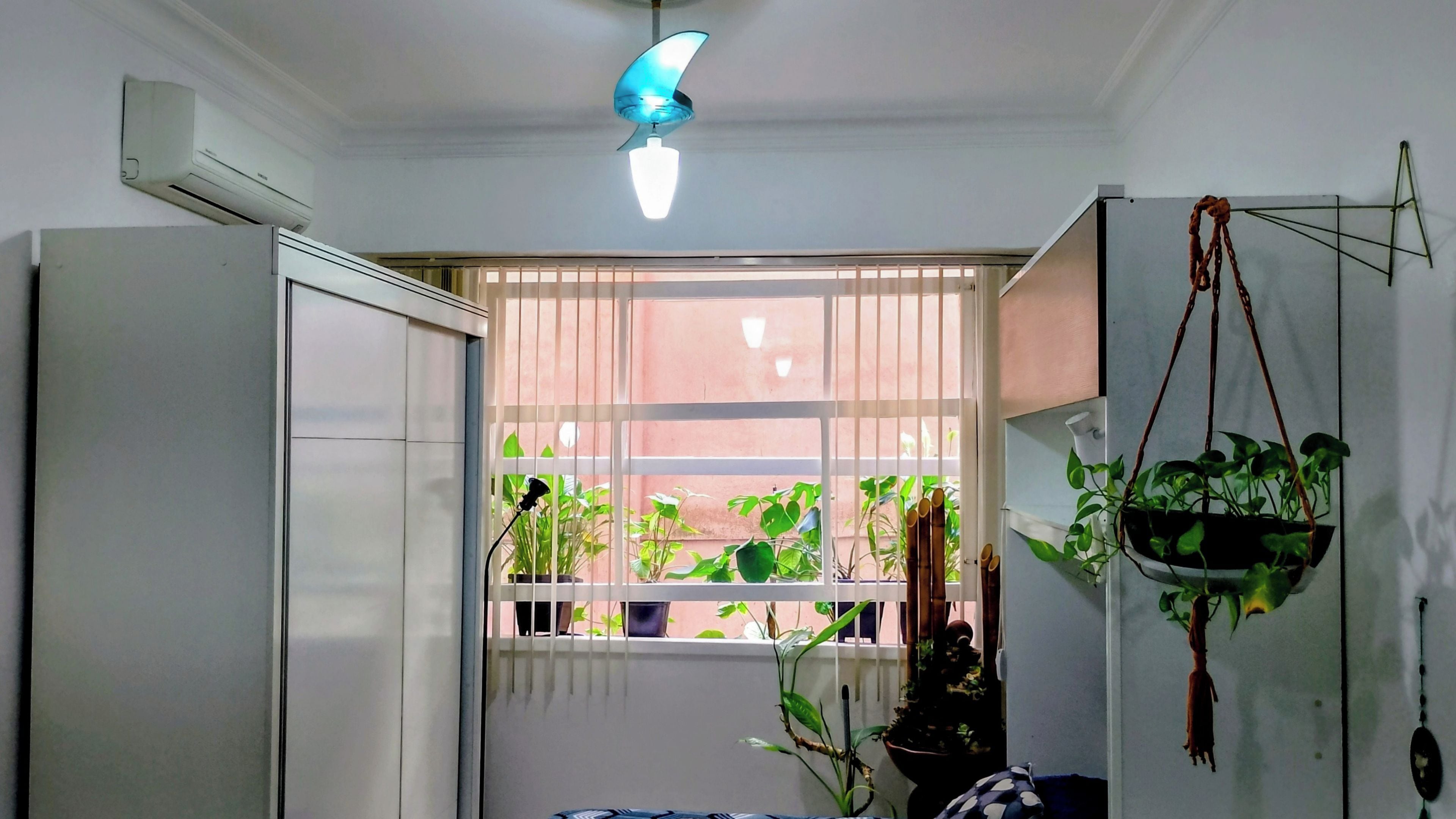 A room with a window, a ceiling fan, and a hanging plant.
