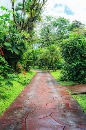 A pathway through a lush garden with various tropical plants and trees. - Arenal Rainforest (La Fortuna)